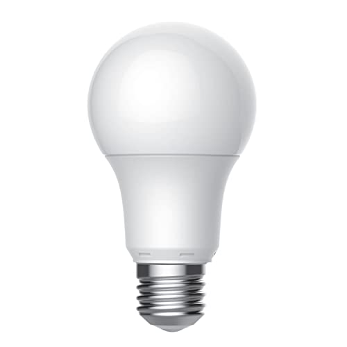 Basic Light Bulbs (4 Count)