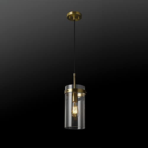 61209 1 Light Pendant Light