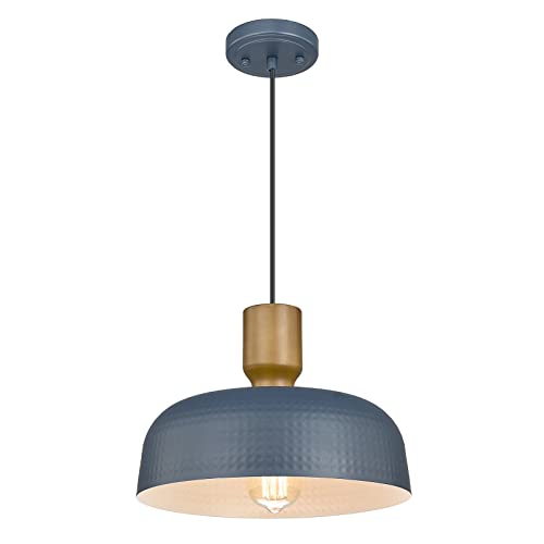 Pendant Light Fixtures Ceiling Hanging with Hammered Metal Shade