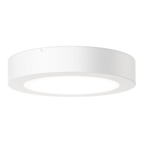 Slim Basics 4 Inch LED Ceiling Light