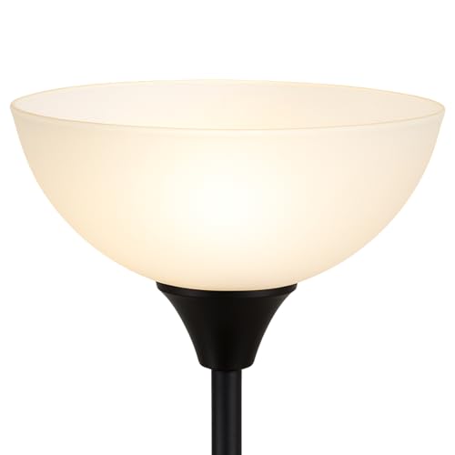Glass Lamp Shade Replacement for Floor Lamp