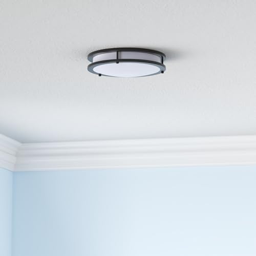 10 inch Flush Mount LED Ceiling Light Fixture (2 Count)