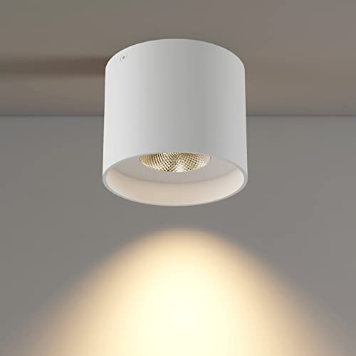 Ceiling Light Fixture