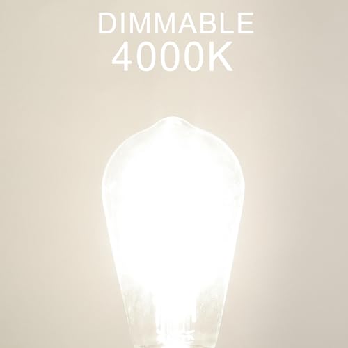 Dimmable LED Edison Bulb (6 Count)