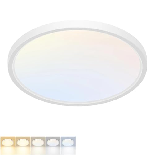 LED Flush Mount Ceiling Light