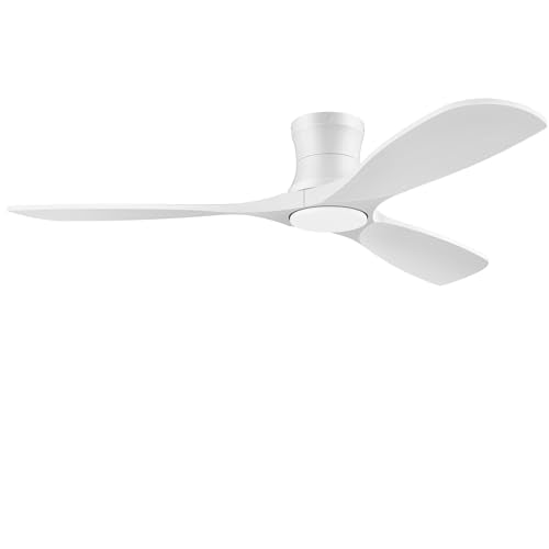 Flush Mount Ceiling Fans with Lights and Remote