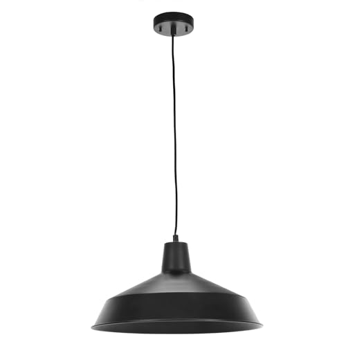 65155 1 Light Industrial Warehouse Pendant Lighting