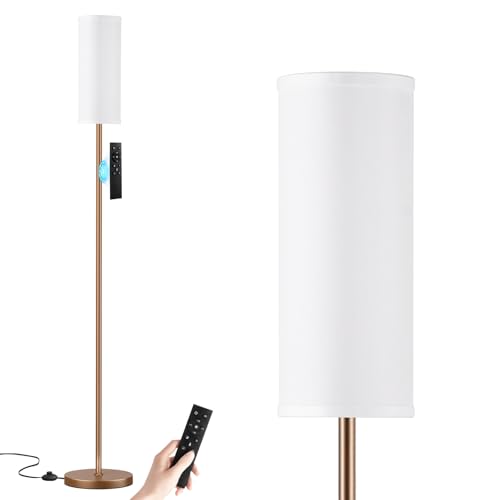 64'' Floor Lamps for Living Room with Remote Control and Stepless Dimmable Colors Temperature & Brightness