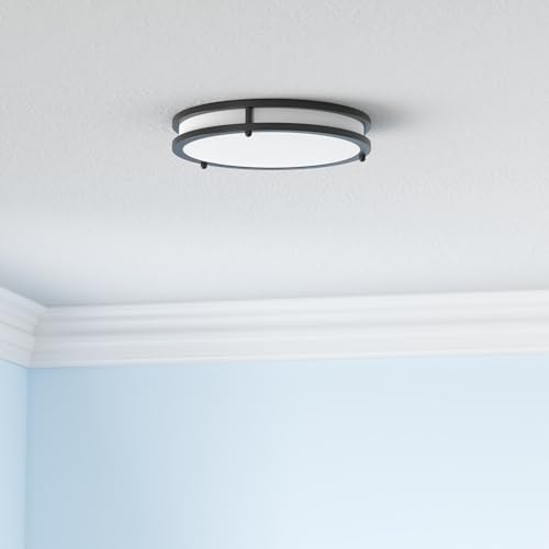 12 Inch Flush Mount Ceiling Lights (2 Count)