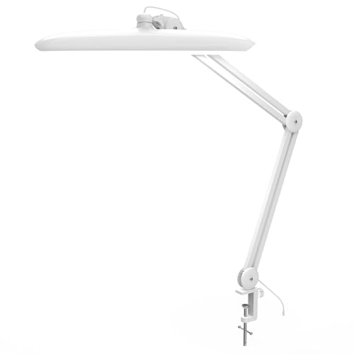 LED Desk Lamp with Clamp
