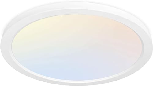12 Inch Selectable CCT LED Round Flat Panel Light