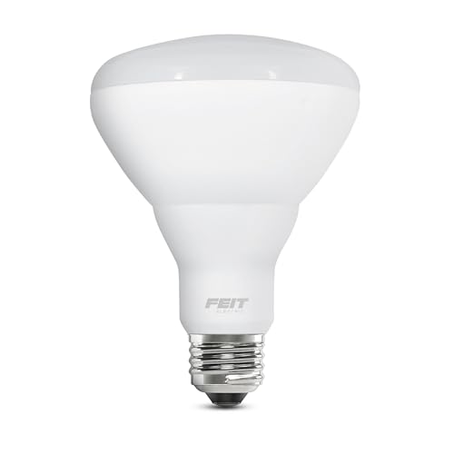 BR30 LED Flood Light Bulb (2 Count)