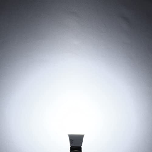 Vintage A19 LED Light Bulbs 60W Equivalent