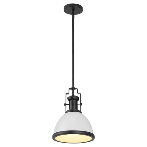 Homer Industrial Dome Pendant 10"