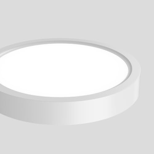 Flush Mount Ceiling Light