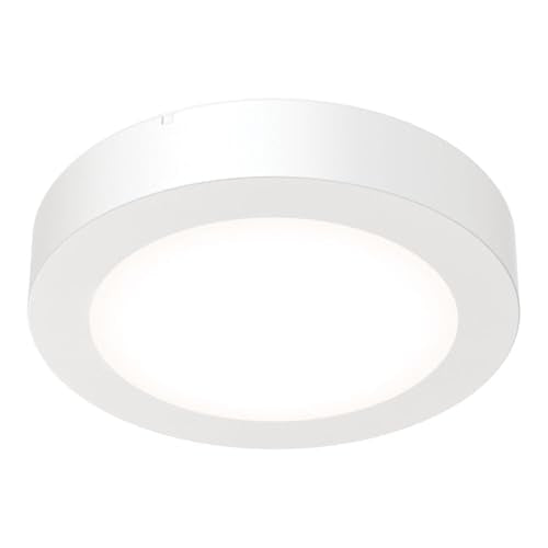 Slim Basics 4 Inch LED Ceiling Light