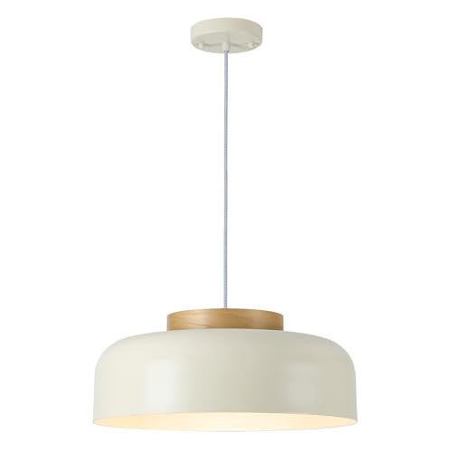 Modern Large Pendant Light