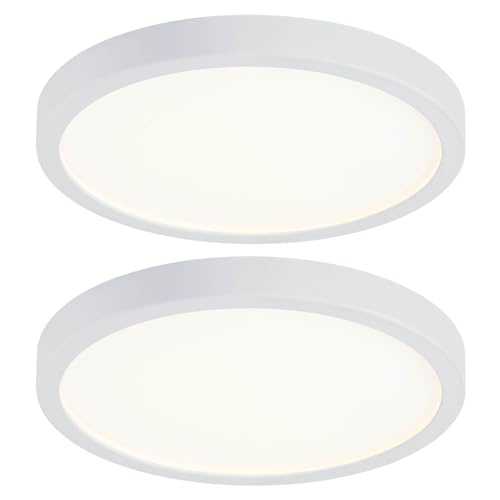 10 Inch LED Flush Mount Ceiling Light (2 Count)