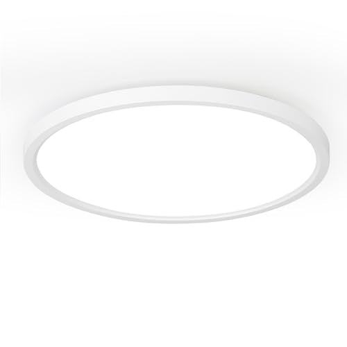 10 Inch LED Flush Mount Ceiling Light Fixture