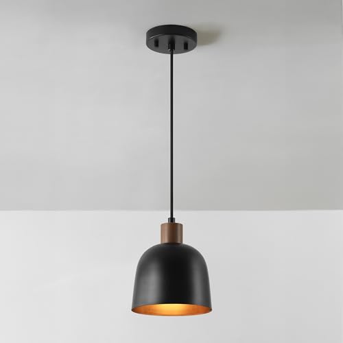 67000193 1 Light Pendant Lighting