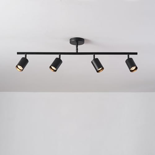 4 Light Track Lighting