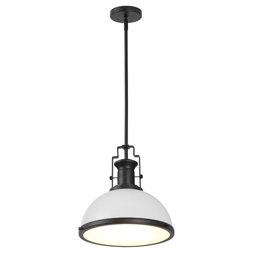 Homer Industrial Dome Pendant 13"