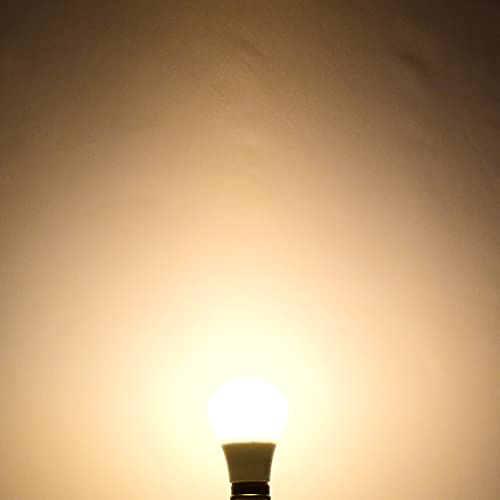 Vintage A19 LED Light Bulbs 60W Equivalent