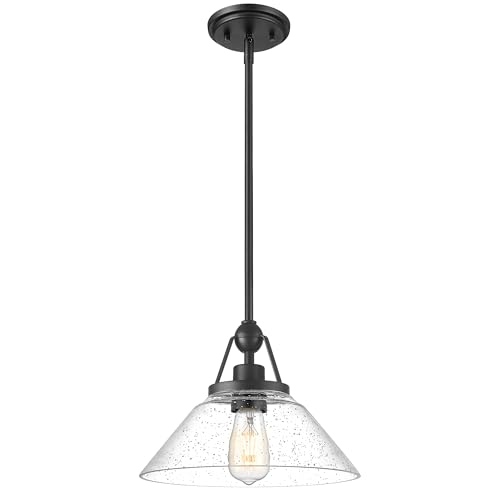 Black Pendant Light