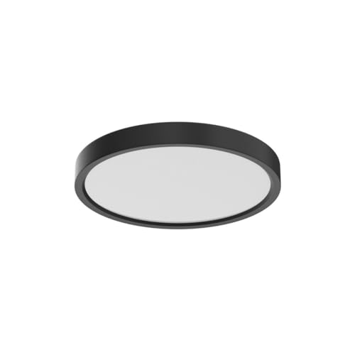 Dimmable LED Flush Mount Ceiling Light with Remote Control