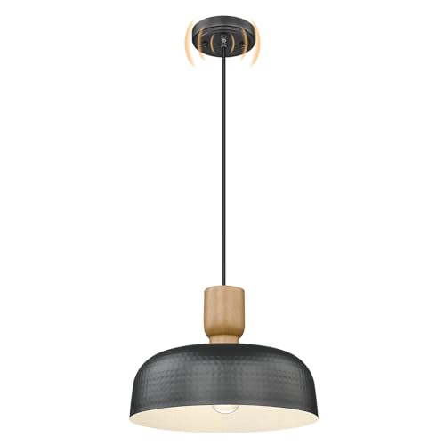 Dusk to Dawn Industrial Pendant Light Fixtures Ceiling Hanging with Hammered Metal Shade