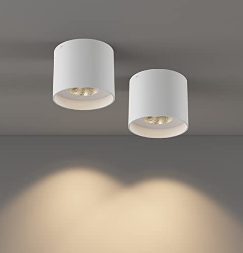 Ceiling Light Fixture (2 Count)