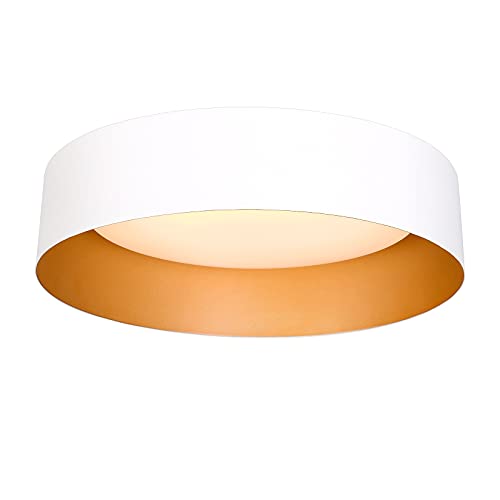 Flush Mount Ceiling Light