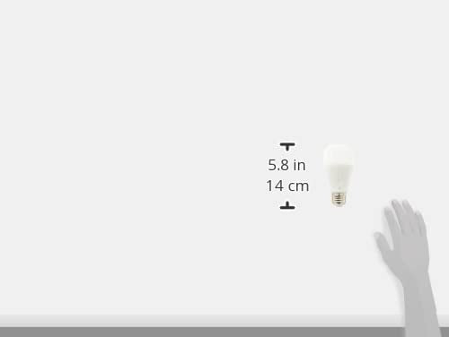 Light Bulbs KL135P4 (4 Count)