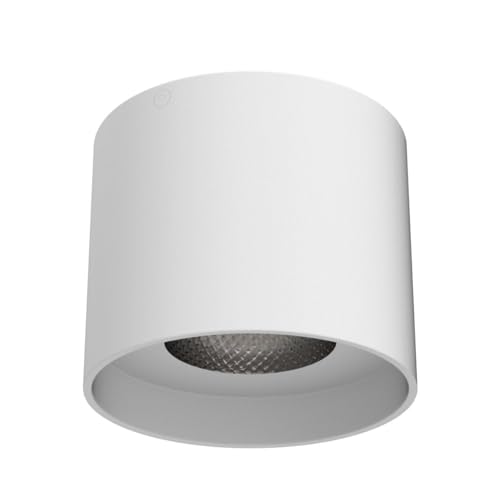 Ceiling Light Fixture