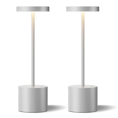 Silver Gray Cordless Lamp Set (2 Count)