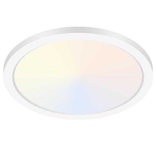 12Inch Flush Mount Ceiling Light