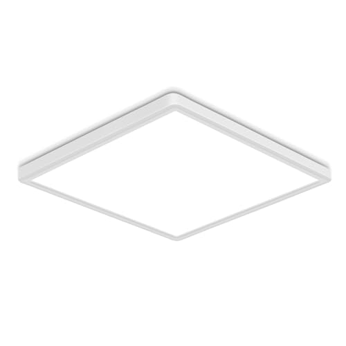 12 Inch Flush Mount Ceiling Light