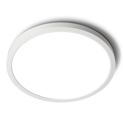 LED Flush Mount Ceiling Light 6000K