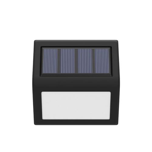 Solar Lights Outdoor (2 Count)