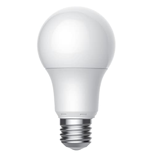 Basic LED Light Bulbs (4 Count)