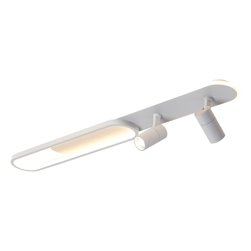 Modern LED Ceiling Light 39" Linear Ceiling Light with 2 Spotlight