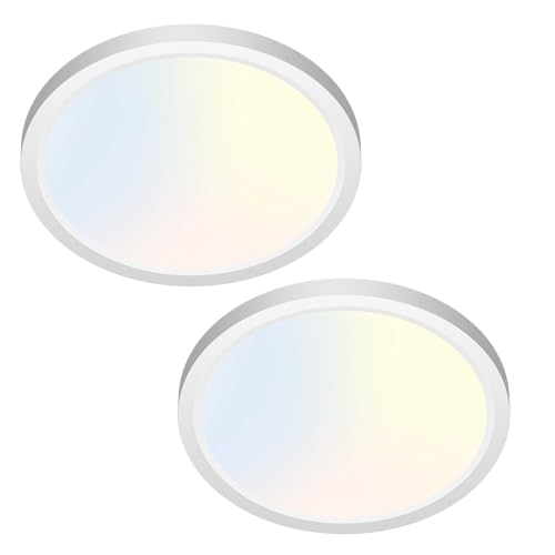 LED Ceiling Light 6.5 Inch (2 Count)