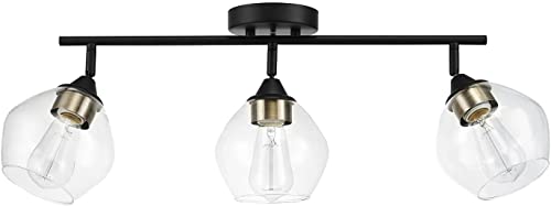 59629 Jackson 3 Track Lighting