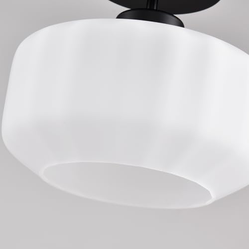 Industrial Black Matte Light Fixtures Ceiling Mount