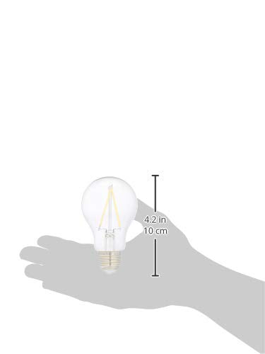 A19 LED Light Bulbs (6 Count)