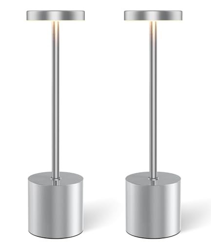 Silver Cordless Table Lamp Rechargeable (2 Count)