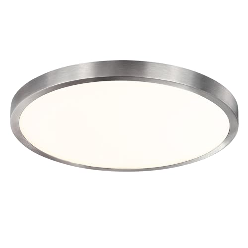 Flush Mount Ceiling Light Fixture