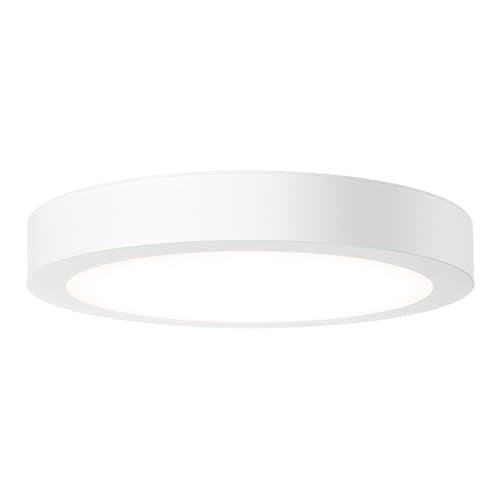 Slim Basics 6 Inch LED Ceiling Light