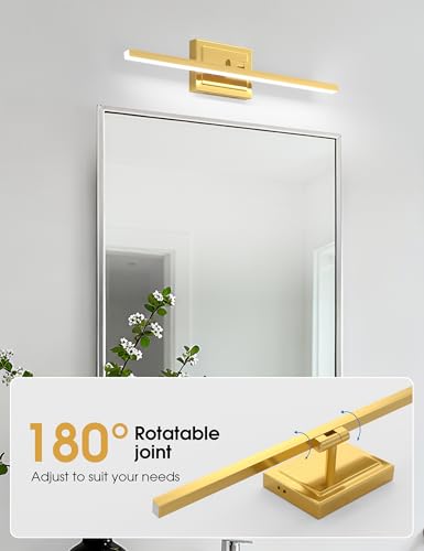 Bathroom Vanity Light 24 inch