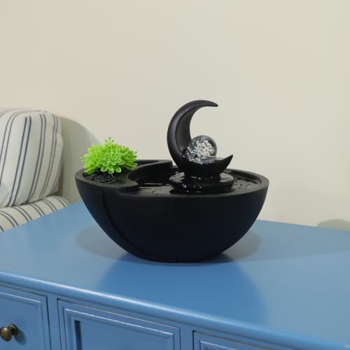 Table Fountain Indoor Water Zen Garden Decor with Succulent Plant